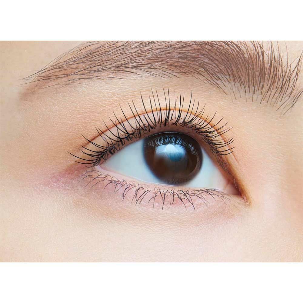 デジャヴュ ファイバーウィッグウルトラロングE （塗るつけまつげ ロングタイプ） ブラック